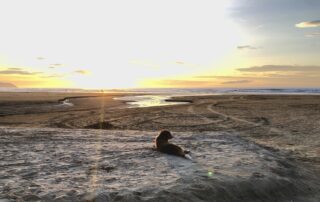 O que fazer Litoral Norte SP 2026