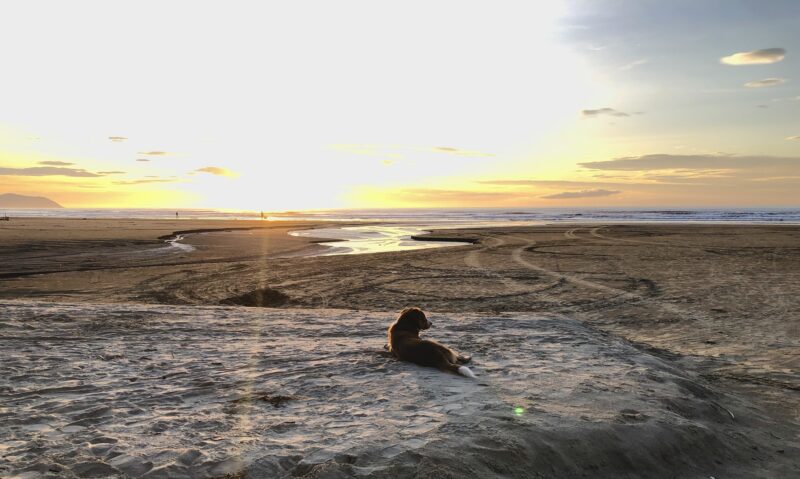 O que fazer Litoral Norte SP 2026